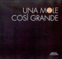 Una mole così grande  - Libro Neos Edizioni 2013 | Libraccio.it
