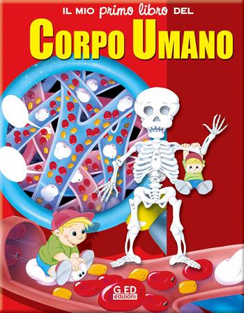 Il mio primo libro del corpo umano. Ediz. illustrata - Clive Gifford - Libro Vega Edizioni 2012 | Libraccio.it