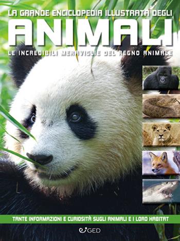 La grande enciclopedia illustrata degli animali. Le incredibili meraviglie del regno animale. Libri per sapere  - Libro Vega Edizioni 2022 | Libraccio.it