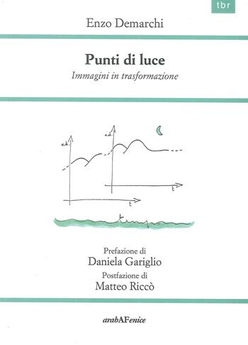Punti di luce. Immagini in trasformazione - Enzo Demarchi - Libro Araba Fenice 2019 | Libraccio.it