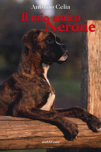 Il mio amico Nerone - Antonio Celia - Libro Araba Fenice 2022 | Libraccio.it