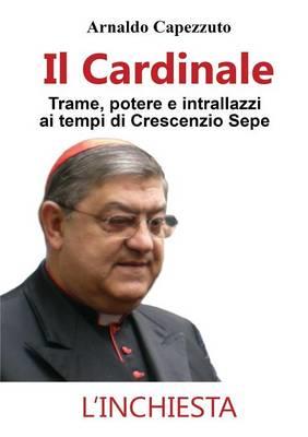Il cardinale. Trame, potere e intrallazzi ai tempi di Crescenzio Sepe - Arnaldo Capezzuto - Libro Youcanprint 2015, Saggistica | Libraccio.it