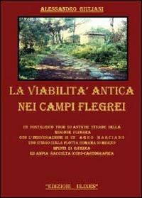 La viabilità antica nei campi Flegrei - Alessandro Giuliani - Libro Youcanprint 2011 | Libraccio.it