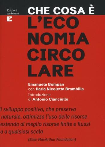 Che cosa è l'economia circolare - Emanuele Bompan, Ilaria Nicoletta Brambilla - Libro Edizioni Ambiente 2016 | Libraccio.it