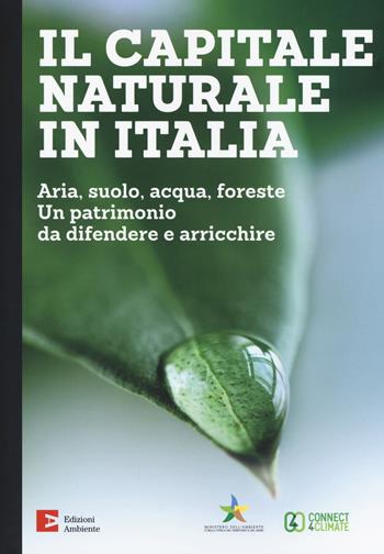 Il capitale naturale in Italia. Aria, suolo, acqua, foreste. Un patrimonio da difendere e arricchire  - Libro Edizioni Ambiente 2018, Saggistica ambientale | Libraccio.it