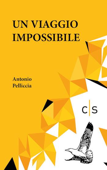 Un viaggio impossibile - Antonio Pelliccia - Libro Caosfera 2020, Riverberi | Libraccio.it