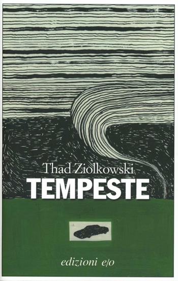 Tempeste - Thad Ziolkowski - Libro E/O 2012, Dal mondo | Libraccio.it
