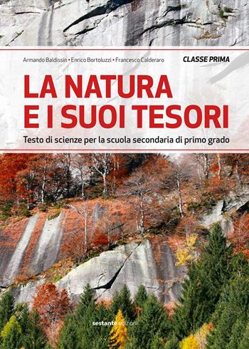 La natura e i suoi tesori. Testo di scienze . Vol. 1 - Armando Baldissin, Enrico Bortoluzzi, Francesco Calderaro - Libro Sestante 2018 | Libraccio.it