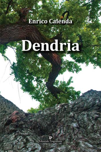 Dendria - Enrico Calenda - Libro Editoriale Programma 2015, Programma scrittura | Libraccio.it