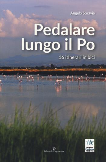 Pedalare lungo il Po. 16 itinerari in bici - Angelo Soravia - Libro Editoriale Programma 2019 | Libraccio.it