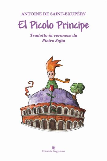 El picolo principe - Pietro Sofia - Libro Editoriale Programma 2019 | Libraccio.it