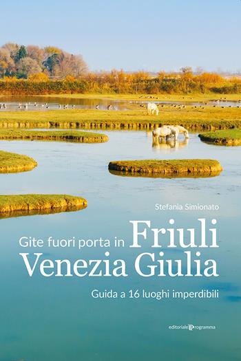 Gite fuori porta in Friuli Venezia Giulia. Guida a 16 luoghi imperdibili - Stefania Simionato - Libro Editoriale Programma 2020 | Libraccio.it