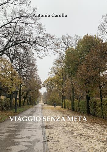 Viaggio senza meta - Antonio Carollo - Libro Giuliano Ladolfi Editore 2020, Topazio | Libraccio.it