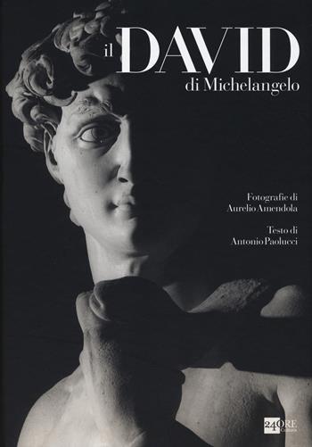 Il David di Michelangelo - Antonio Paolucci, Aurelio Amendola - Libro 24 Ore Cultura 2014 | Libraccio.it