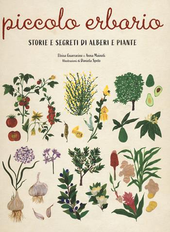 Piccolo erbario. Storie e segreti di alberi e piante. Ediz. a colori - Eloisa Guarracino, Anna Mainoli - Libro 24 Ore Cultura 2021 | Libraccio.it