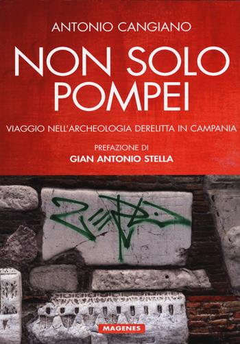 Non solo Pompei. Viaggio nell'archeologia derelitta in Campania - Antonio Cangiano - Libro Magenes 2015, Voci dal Sud | Libraccio.it