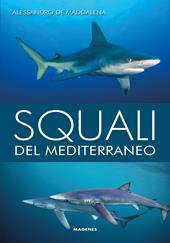 Squali del Mediterraneo. Ediz. a colori