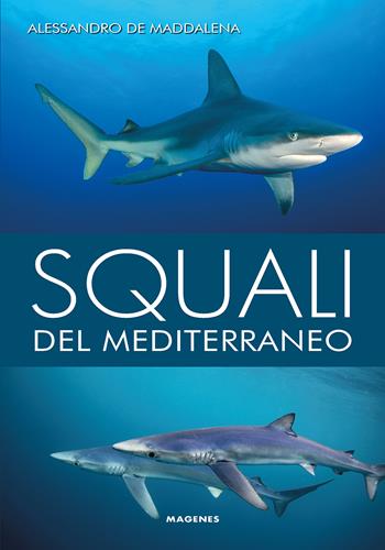 Squali del Mediterraneo. Ediz. illustrata - Alessandro De Maddalena, Alessio Fileccia - Libro Magenes 2024, Blu natura | Libraccio.it