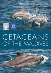 Cetaceans of the Maldives