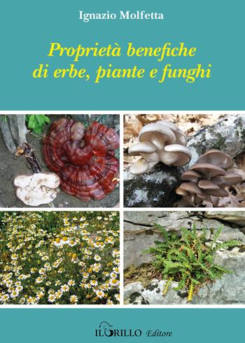 Proprietà benefiche di erbe, piante e funghi - Iganzio Molfetta - Libro Il Grillo 2019 | Libraccio.it