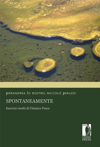 Spontaneamente. Esercizi risolti di chimica fisica - Pierandrea Lo Nostro, Niccolò Peruzzi - Libro Firenze University Press 2013, Manuali. Scienze | Libraccio.it