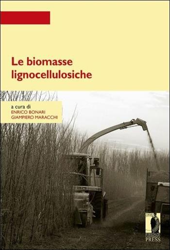 Le biomasse lignocellulosiche  - Libro Firenze University Press 2016, Strumenti per la didattica e la ricerca | Libraccio.it