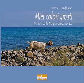 Miei colori amati. Visioni dalla Magna Grecia ionica - Enzo Cordasco - Libro Era Nuova 2019, Melete. Narrativa | Libraccio.it