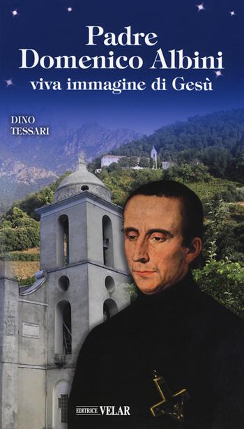 Padre Domenico Albini. Viva immagine di Gesù - Dino Tessari - Libro Velar 2017, Blu. Messaggeri d'amore | Libraccio.it