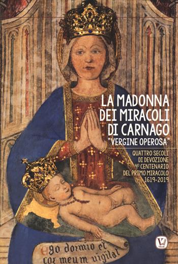 La Madonna dei miracoli di Carnago «Vergine Operosa». Quattro secoli di devozione. 4° centenario del primo miracolo 1619-2019  - Libro Velar 2019, Pietre vive | Libraccio.it