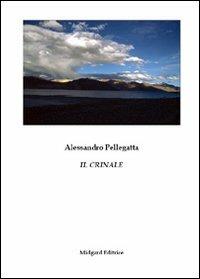 Il crinale - Alessandro Pellegatta - Libro Midgard 2011, Narrativa | Libraccio.it