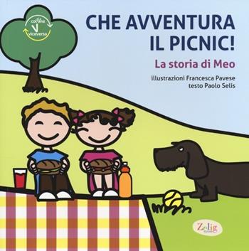 Che avventura il picnic: La storia di Meo-La storia di Bobo. Ediz. illustrata - Paolo Selis - Libro Zelig (Torino) 2014, Viceversa | Libraccio.it