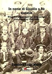 In nome di Ciccillo o rè nuostro. Briganti e brigantaggio nel tenimento di Goja Sannitica 1860-1880