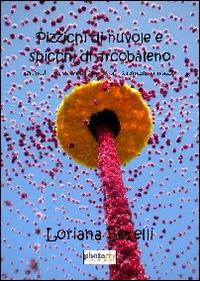 Pizzichi di nuvole e spicchi di arcobaleno. Quando i pensieri si animano, la danza ha inizio - Loriana Borelli - Libro Photocity.it 2014 | Libraccio.it