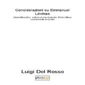 Considerazioni su Emmanuel Lévinas. Diario filosofico. Lettura di uno studente. Vol. 8: 2013-2015.