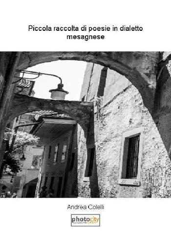 Piccola raccolta di poesie in dialetto mesagnese - Andrea Colelli - Libro Photocity.it 2015 | Libraccio.it