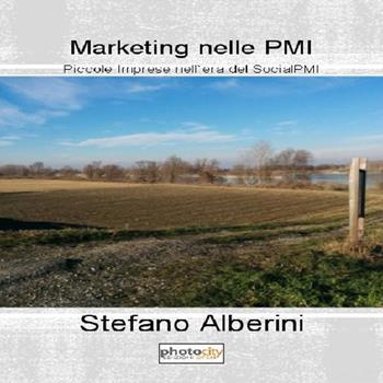 Marketing nelle PMI. Piccole imprese nell'era del SocialPMI - Stefano Alberini - Libro Photocity.it 2015 | Libraccio.it