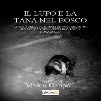 Il lupo e la tana nel bosco. Le foto della vita degli animali selvatici in un bosco dell'Appennino tosco-romagnolo - Marco Cappelli - Libro Photocity.it 2016 | Libraccio.it