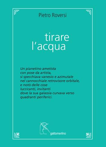 Tirare l'acqua - Pietro Roversi - Libro Gattomerlino/Superstripes 2018, Quaderni di Pagine Nuove | Libraccio.it