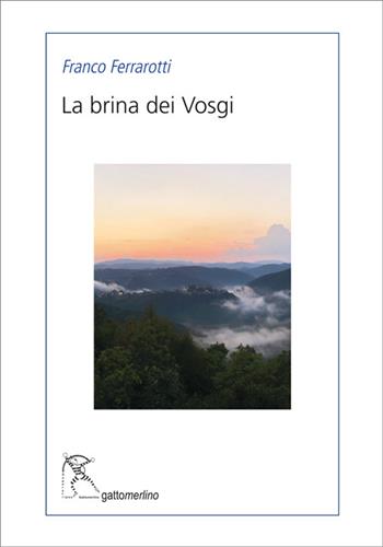 La brina dei Vosgi - Franco Ferrarotti - Libro Gattomerlino/Superstripes 2022, Serie blu | Libraccio.it