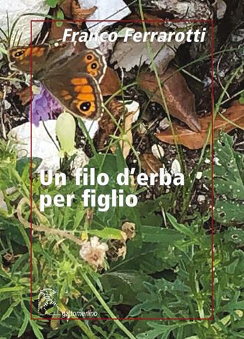 Un filo d’erba per figlio - Franco Ferrarotti - Libro Gattomerlino/Superstripes 2022, Serie amaranto | Libraccio.it