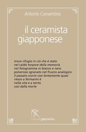 Il ceramista giapponese - Antonio Consentino - Libro Gattomerlino/Superstripes 2022, Quaderni di Pagine Nuove | Libraccio.it