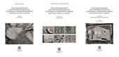 Vent'anni di ricerche dell'Università degli studi di Macerata. A Tifernum Mataurense (Sant'Angelo in Vado-PU) (2000-2021): Attività di scavo-I reperti particolari-Patrimonio archeologico, beni culturali e territorio. Vol. 1-3