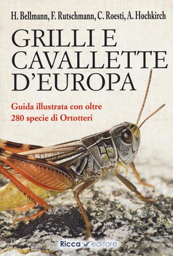 Grilli e cavallette d'Europa - Heiko Bellmann - Libro Ricca 2020, Scienze naturali. Manuali | Libraccio.it