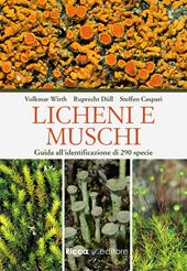 Licheni e muschi