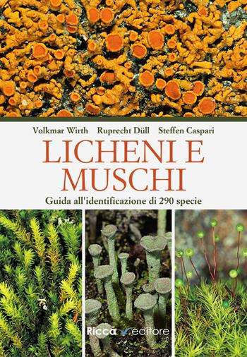 Licheni e muschi. Guida all'identificazione di 290 specie - Volkmar Wirth, Ruprecht Düll, Steffen Caspari - Libro Ricca 2024, Scienze naturali. Manuali | Libraccio.it