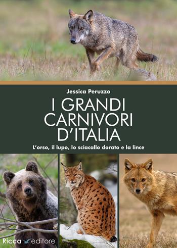 I grandi carnivori d'Italia. L’orso, il lupo, lo sciacallo dorato e la lince - Jessica Peruzzo - Libro Ricca Editore 2025, Scienze naturali. Manuali | Libraccio.it