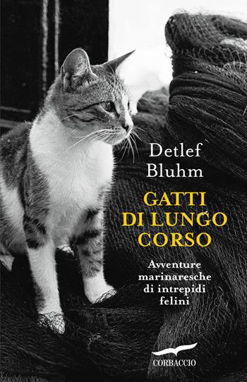 Gatti di lungo corso. Avventure marinaresche di intrepidi felini - Detlef Bluhm - Libro Corbaccio 2017, Saggi | Libraccio.it