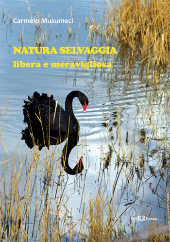 Natura selvaggia. Libera e meravigliosa. Ediz. a colori - Carmelo Musumeci - Libro Este Edition 2018, Carnet | Libraccio.it
