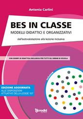 Bes in classe. Modelli didattici e organizzativi dall'autovalutazione alla lezione inclusiva