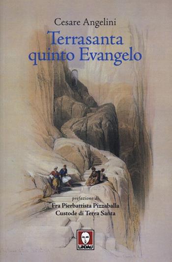 Terrasanta quinto Evangelo - Cesare Angelini - Libro Lindau 2013, I pellicani | Libraccio.it